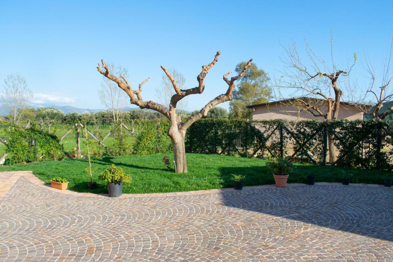 Camera Iris - B&B Antico Casale Monte San Biagio Eksteriør billede