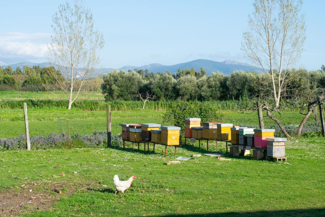 Camera Iris - B&B Antico Casale Monte San Biagio Eksteriør billede